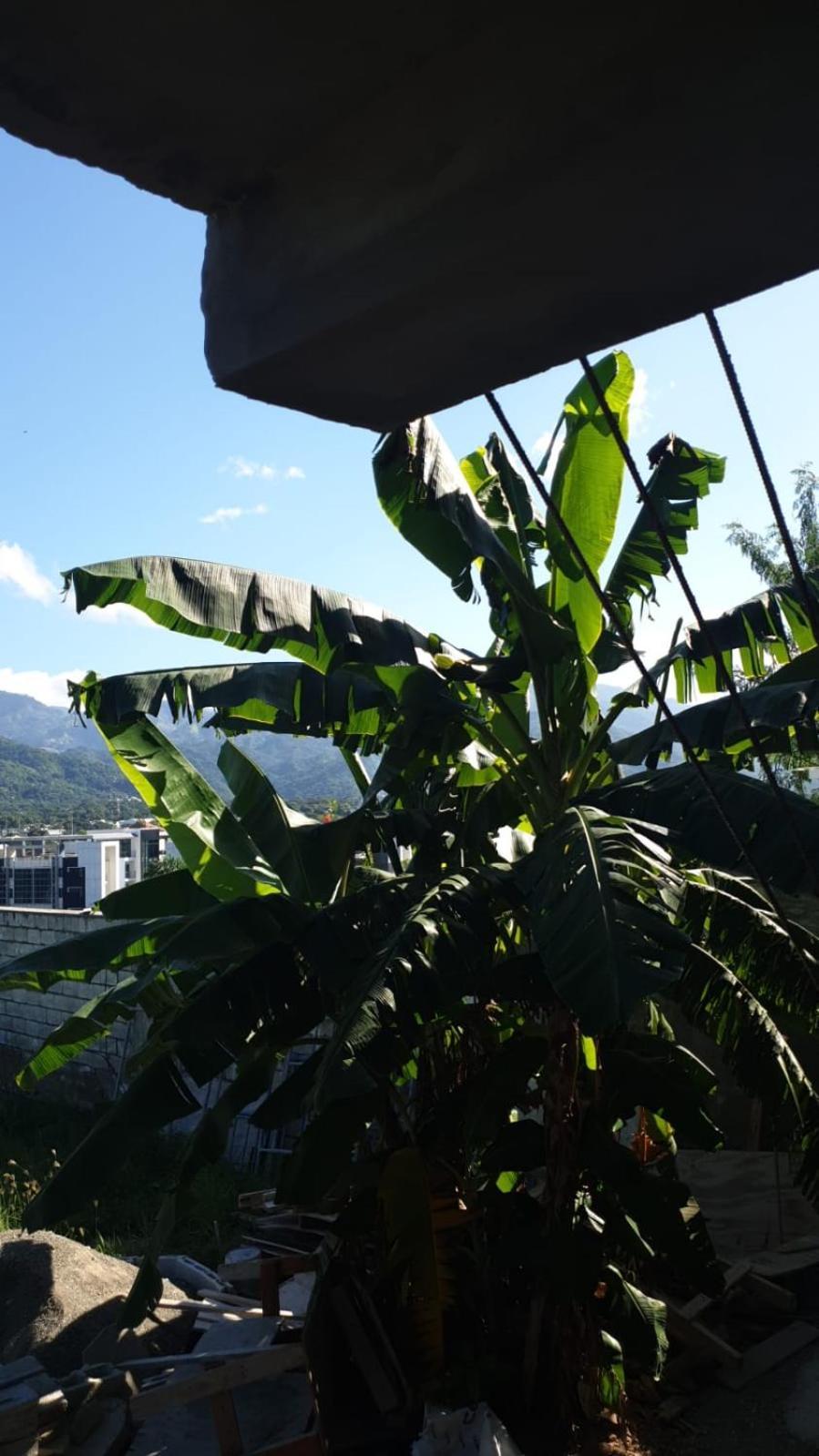 Amharic Kingston Exterior foto