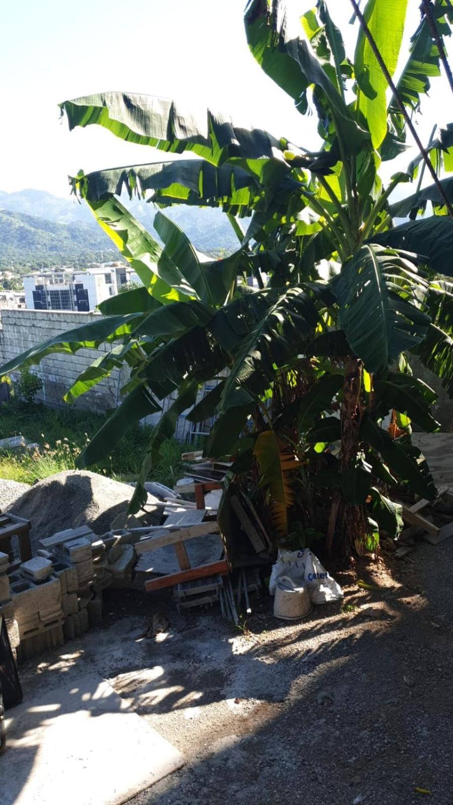 Amharic Kingston Exterior foto